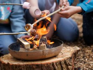 Ardgartan Argyll Cabins - Forest Holidays