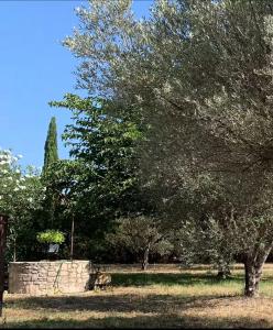 Maisons de vacances L-evasion Provencale : photos des chambres
