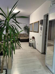 Apartament Andreea pe Dem Radulescu!