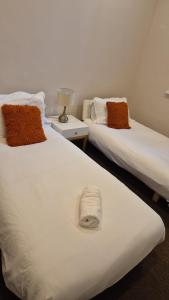 Delightful flat central Brighton