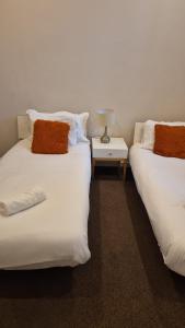 Delightful flat central Brighton