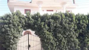 الاقصر البر الغربي امام معبد هابو - Al Aqālitah