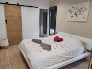 Magnifique Villa piscine privée jacuzzi