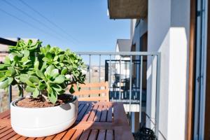 Green Vibe 11 Zator blisko Energylandii by Housine