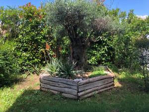 Appartements Appartement Yucca entre Mer Montagne : photos des chambres