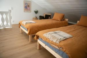 Old Town Charm with Sauna