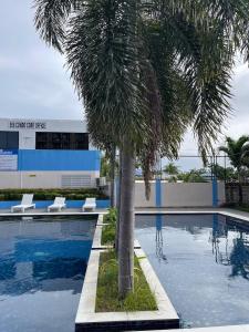 Minimalist Condo with Balcony and Pool