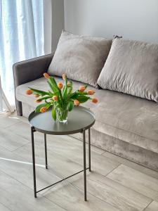 Resort Hel domki letniskowe