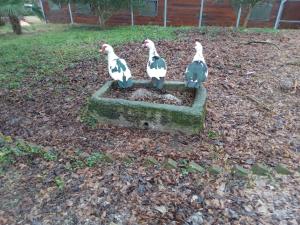 Bed and Breakfast di Nonna Piera