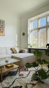 ApartmentInCopenhagen Apartment 1563