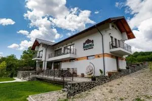 Pensiunea de Subcarpati - Brăduleţ