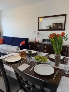 Apartament -Jak w domu- Czeladź 60m2 Centrum Katowic 10km - 希隆斯克地区谢米亚诺维采