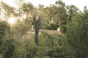 Casas Alexandre - San Juan