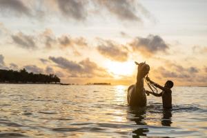 Apartamentos Rocky Cay Bay