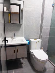 SmartHomes B1309 Studio