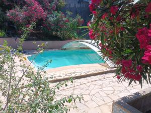Appartements Studio dans Villa Don Quijote Nice : photos des chambres