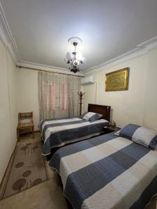 Alexandria Smouha Green Plaza Gateway,50 m from Green Plaza mall