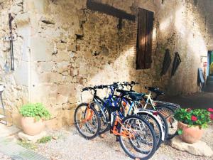 Appartements Havre de paix en Lot-et-Garonne : photos des chambres