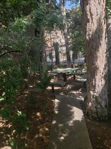 Izabelas apartment in Sololaki