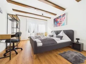 Klassen Apartment! Traumhafte Ferienwohnung in Aulendorf mit Alpenblick, Entspannung und Komfort - Bad Schussenried