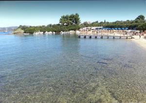 Bouganville
