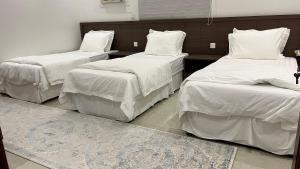 مسكن ركاز المدن