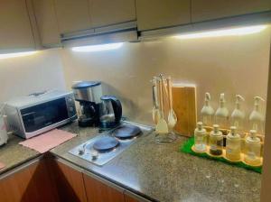 Two Bedroom Condo Cebu Mactan Newtown