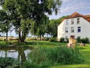 Pension Altes Zollhaus - Neuwesteel