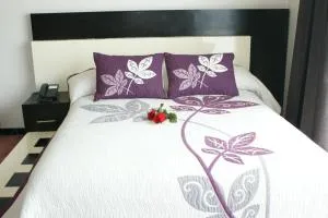 Hotel Cancalli Business & Suites - Apizaco