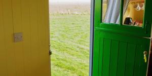 Galahad - Shepherds Hut