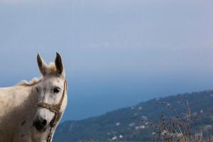 Kalderimi Country House Pelion Greece