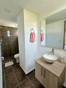 Lindo Apto central Urban Mzles