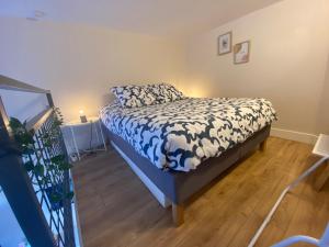 Appartements Lespinet BNB - Duplex avec parking : photos des chambres
