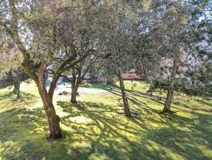 Studio sous les pins - 400m de la plage dePornichet