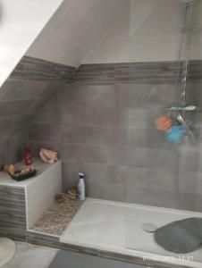 Le jardin aux oiseaux