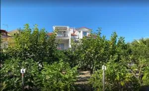 L'Orto di MiLa - Foce Varano