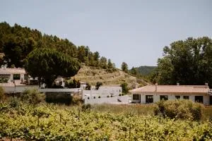 Finca Seguró - Confrides