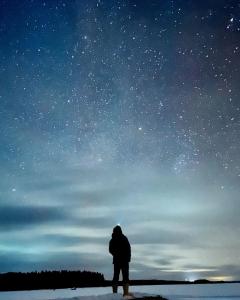 Haven Islands incredible treehouse on private island