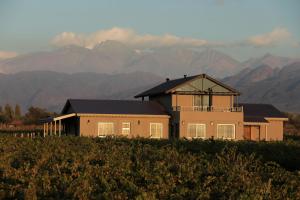 Casa entre viñedo con vista a la Cordillera