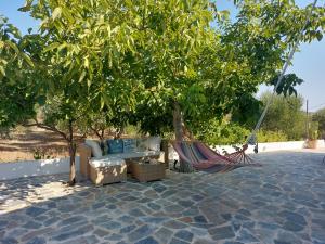 Stavros Oak Tree House