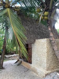 Cabana Sabiá