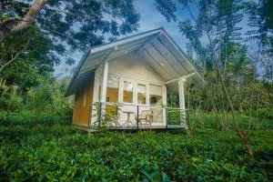Ilukketiya Tea Chalets - Melagoda, Wanchawala - Bambaragoda