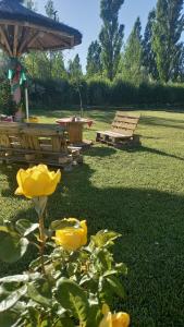 Cabaña Quincho Luz de Luna