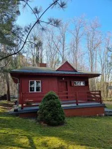 Boszkowski Azyl - Starkowo