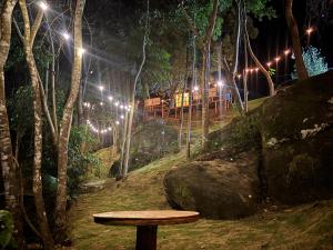 Vibe Coffee Container CATUAÍ VERMELHO