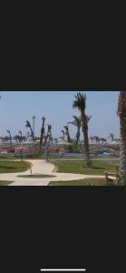 منتجع ريفيرا راس سدر