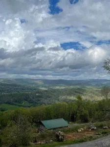 Harper Tree Top - Jamesburg