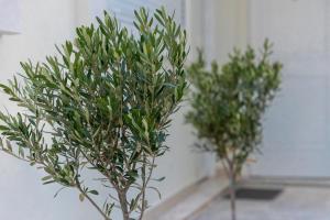 South Glyfada Downtown49 Apartment