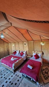 Desert camp camel & sandboarding