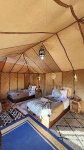 Desert camp camel & sandboarding